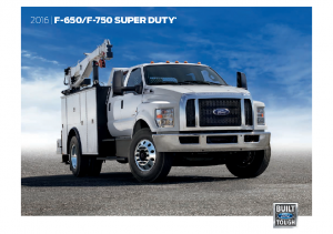 2016 Ford F650