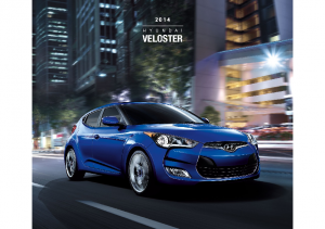 2014 Hyundai Veloster