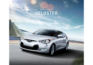 2015 Hyundai Veloster