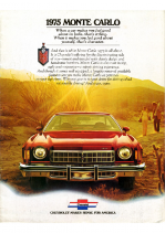 1975 Chevrolet Monte Carlo